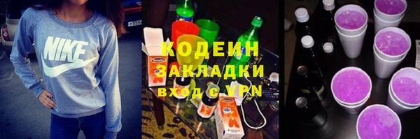 шишки Лиски