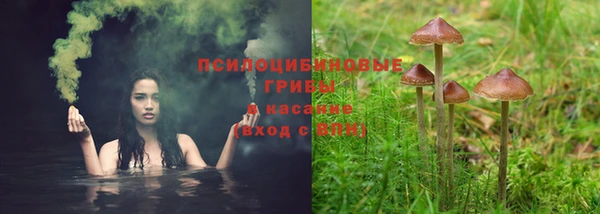 шишки Лиски