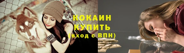 дмт Лихославль