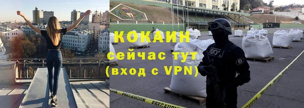 шишки Лиски