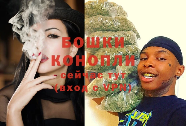 шишки Лиски