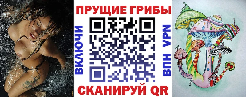 Псилоцибиновые грибы MAGIC MUSHROOMS  Купить где  Котовск 